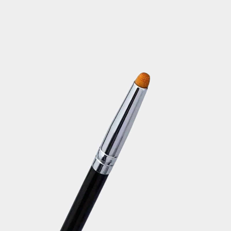 Applicator Brush